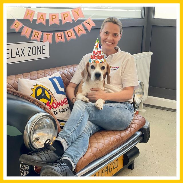 Unser Fahrschul-Wauzi Zac feiert heute seinen 9. Geburtstag! 🥰🥳 #fahrschulesommer #fahrschule #villach #fahrschulhund #officedog #officedogsofinstagram #beagle #beaglelove #9jahre #happybirthday #dogsofinsta