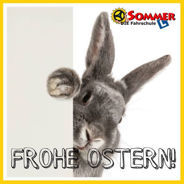 Wir wünschen ein schönes Osterfest & erholsame Feiertage! 🐣🐰 #fahrschulesommer #fahrschule #villach #ostern #froheostern #happyeaster #bravesosterhaserl